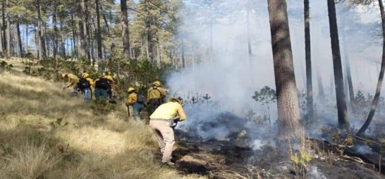 Re-abren Nevado de Toluca tras erradicar incendio forestal