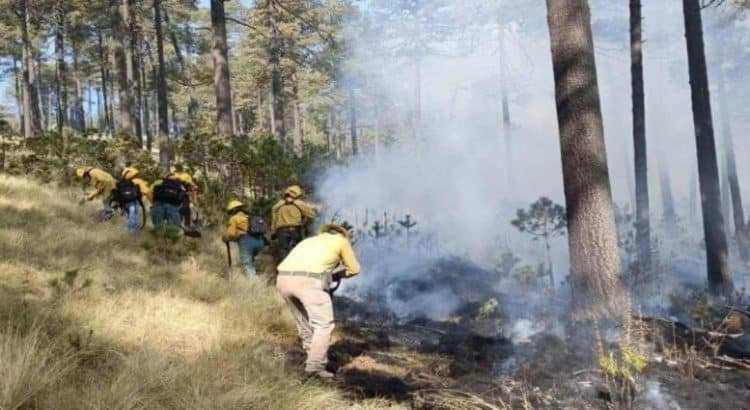 Re-abren Nevado de Toluca tras erradicar incendio forestal