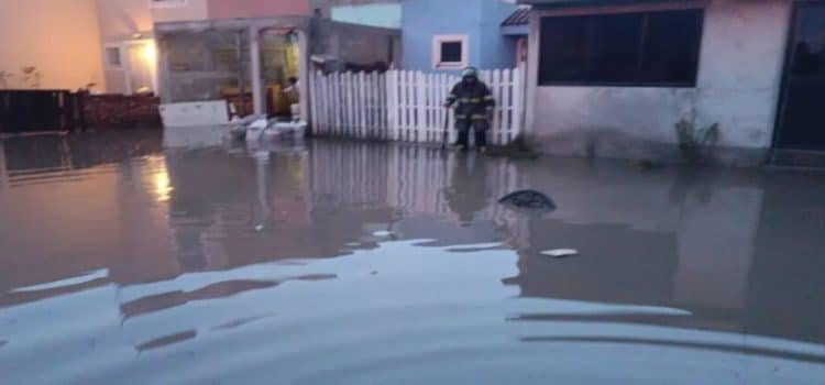 Autoridades revisan y reparan severos encharcamientos tras intensas lluvias en Toluca