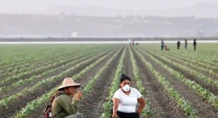 Inician campesinos huelga de 72 horas en California