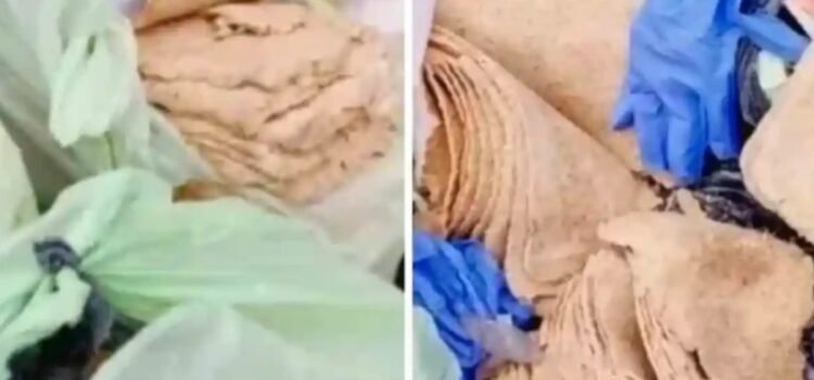 Fue detenido por vender milanesas … de papel higiénico