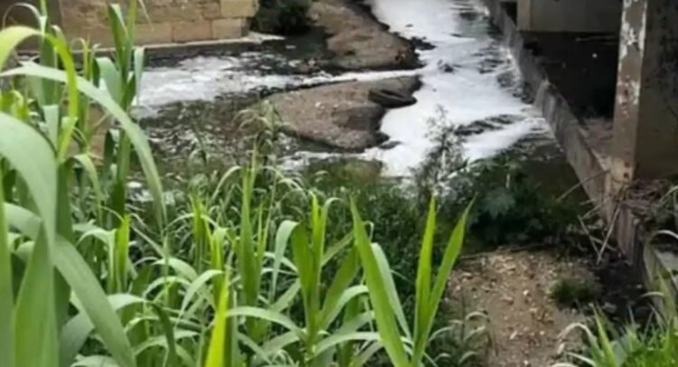 Descendió México en el Índice de Desempeño Ambiental 2024