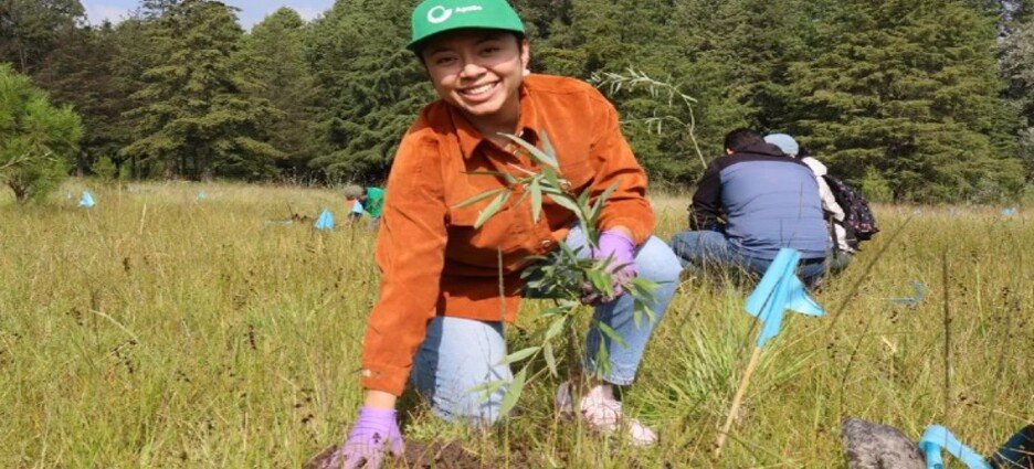 Química Apollo se hará cargo de predio en Alameda 2000 en Toluca