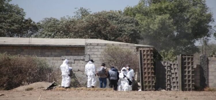 Se encuentran hasta 11,000 cadáveres al año en el Edomex Se encuentran hasta 11,000 cadáveres al año en el Edomex