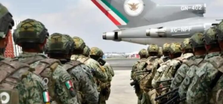 Despliegan Fuerzas Especiales en 3 estados del país Despliegan Fuerzas Especiales en 3 estados del país