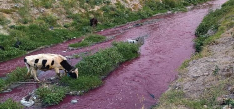 Edomex, el primero en contaminar el Rio Atoyac Edomex, el primero en contaminar el Rio Atoyac