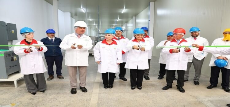 Empresas de sectores alimenticio y comercial invertirán 2,600 MDP en Edomex Empresas de sectores alimenticio y comercial invertirán 2,600 MDP en Edomex