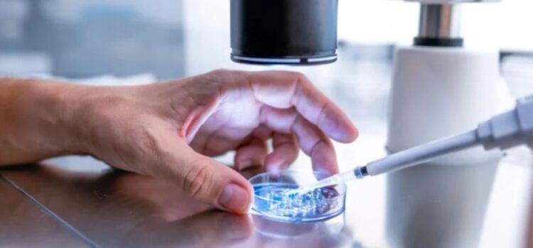 Desarrollan óvulos humanos potencialmente fecundables a partir de células de la piel