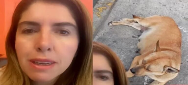 Melissa Vargas denuncia grave caso de maltrato animal en centro comercial de Toluca