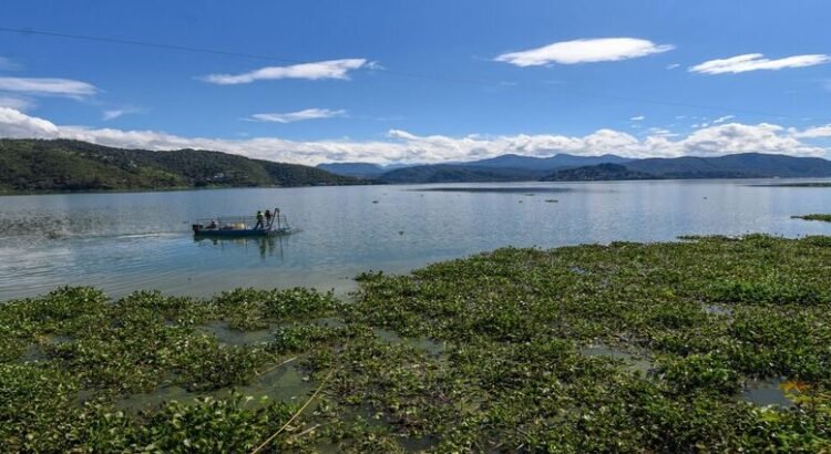 Sistema Cutzamala se encuentra casi al 100%; municipios del Edomex tendrán más agua