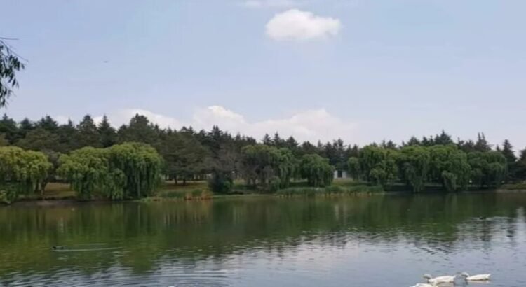 #Toluca Rehabilitación de la Alameda formará parte de un gran proyecto de parques y jardines en Toluca Rehabilitación de la Alameda formará parte de un gran proyecto de parques y jardines en Toluca