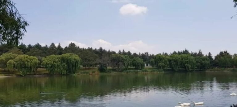 #Toluca Rehabilitación de la Alameda formará parte de un gran proyecto de parques y jardines en Toluca