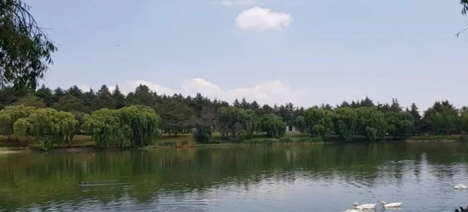 #Toluca Rehabilitación de la Alameda formará parte de un gran proyecto de parques y jardines en Toluca