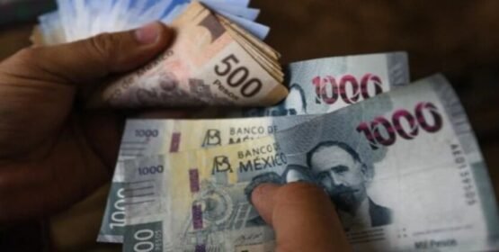 Secretaria de Finanzas emite reglas para subsidios en la zona oriente del Edomex