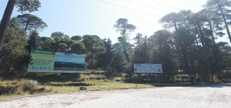 Nevado de Toluca sigue cerrado tras accidente de camioneta Nevado de Toluca sigue cerrado tras accidente de camioneta