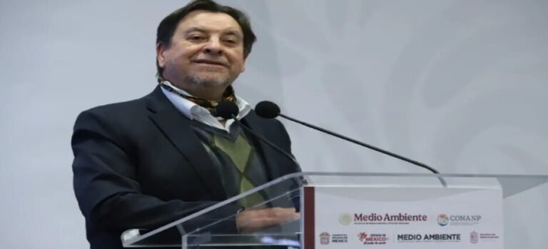 Piden a EU y Canadá detener plaguicidas que colapsan ruta de la mariposa monarca