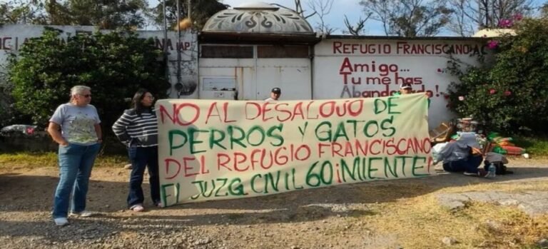 Desalojo en el Refugio Franciscano de perros y gatos en Cuajimalpa fue debido a maltrato animal