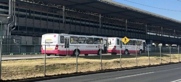 Transporte público brindara servicio gratuito desde terminal de Toluca