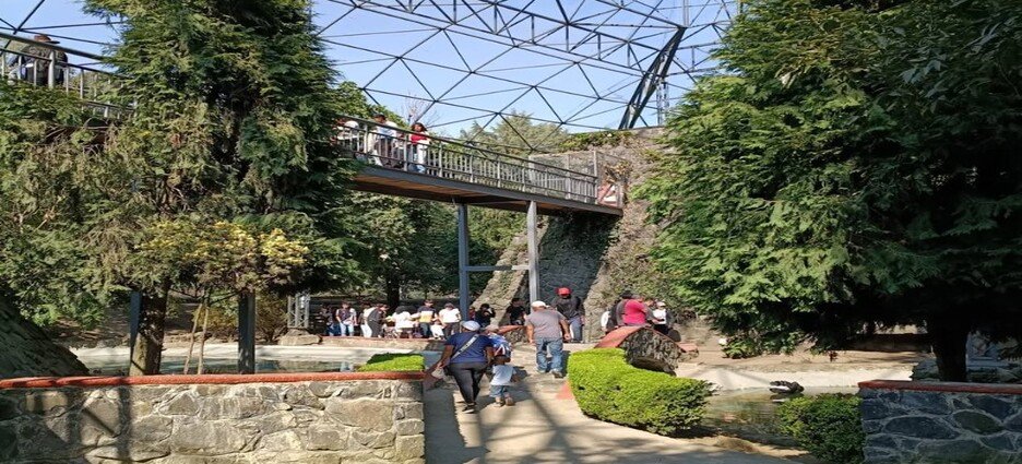 Implementan medidas especiales en Zoológico de Zacango por frío