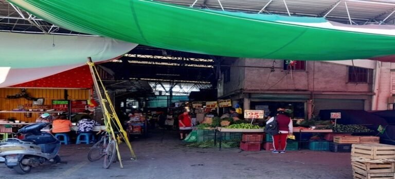 Reportan presunto “halconeo” en Central de Abasto Toluca