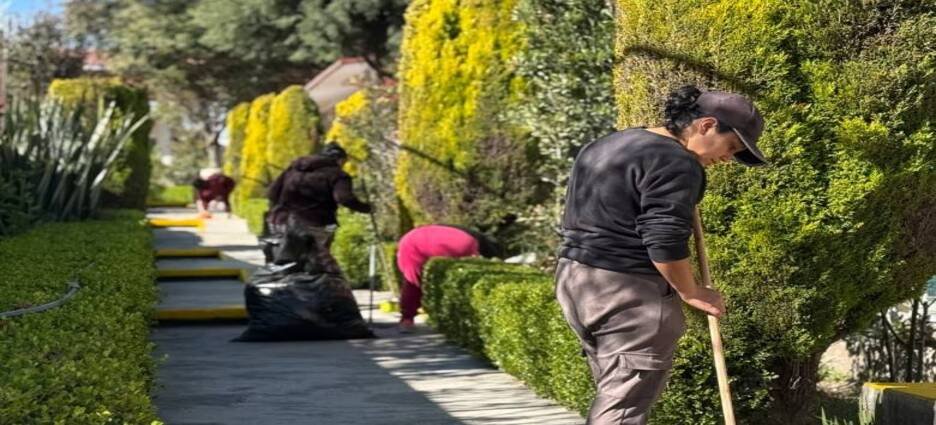 Toluca prepara la campaña de adopción de árboles más grande del país