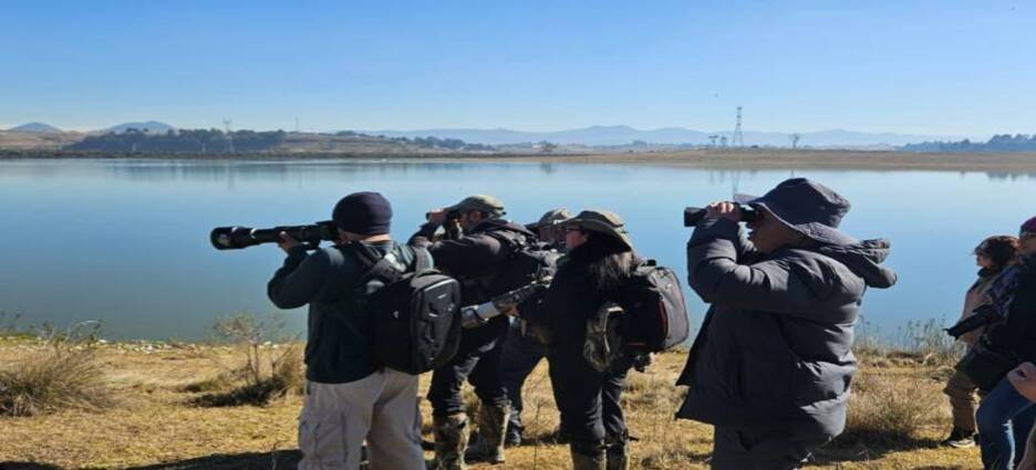 Gobierno Federal promueve avistamiento de aves en el Valle de Toluca