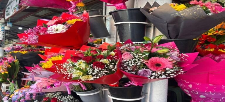 Prevén alza en flores para el 14 de febrero por bajas temperaturas en Toluca