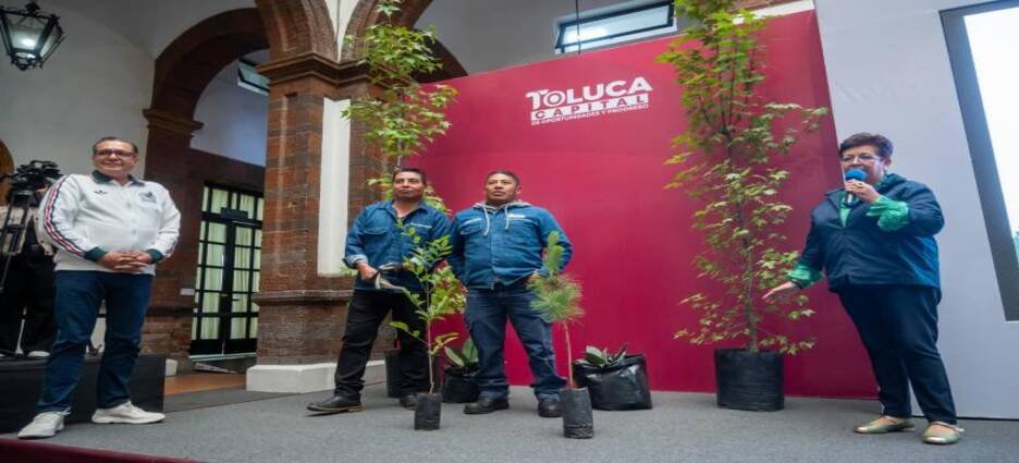 Plantarán 126,000 árboles y jardines urbanos en Toluca